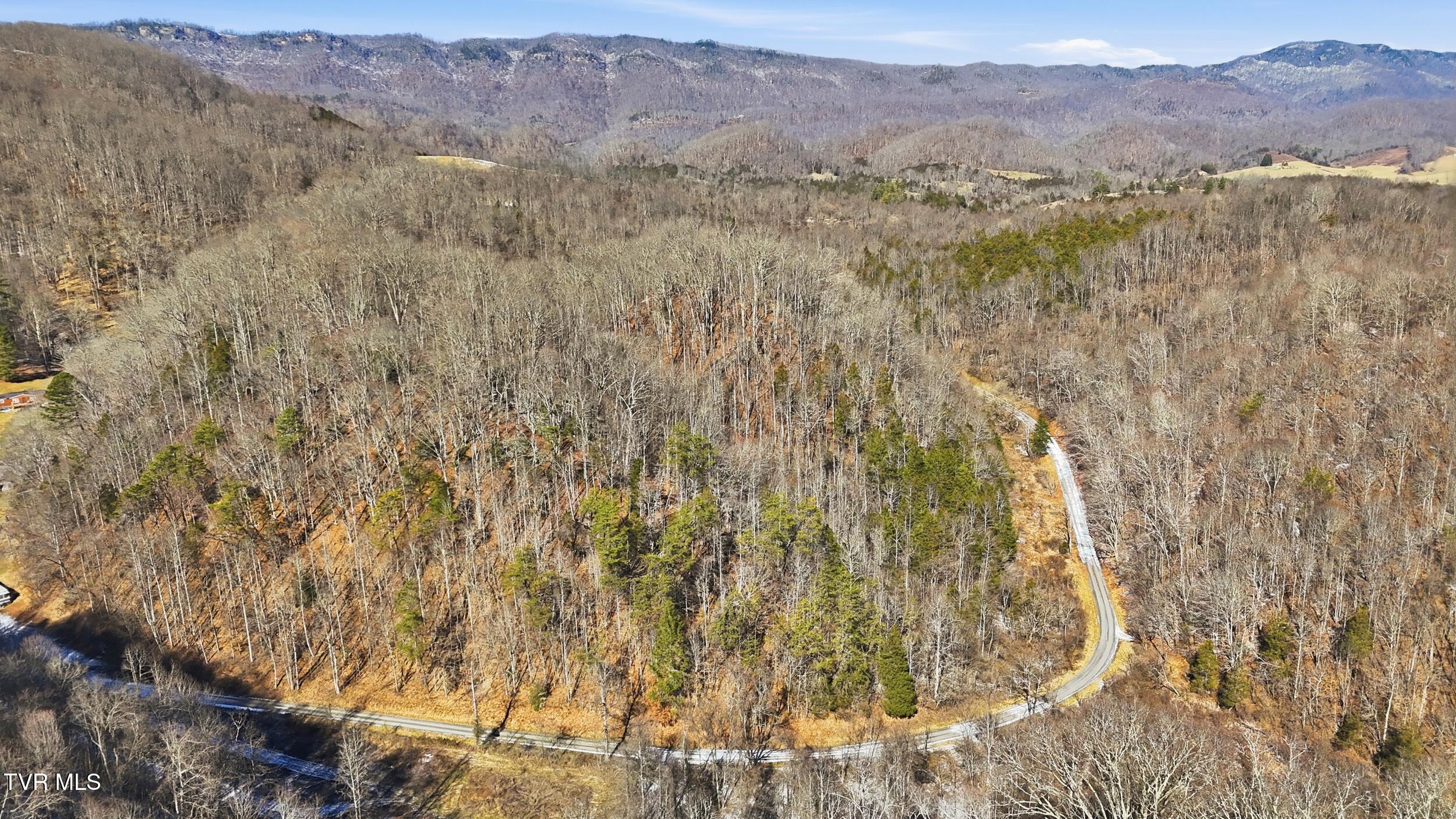 Tbd Hen Reasor Road Big Stone Gap, VA 24219 - Photo 7 of 16 9_dji_20260207130309_0869_d