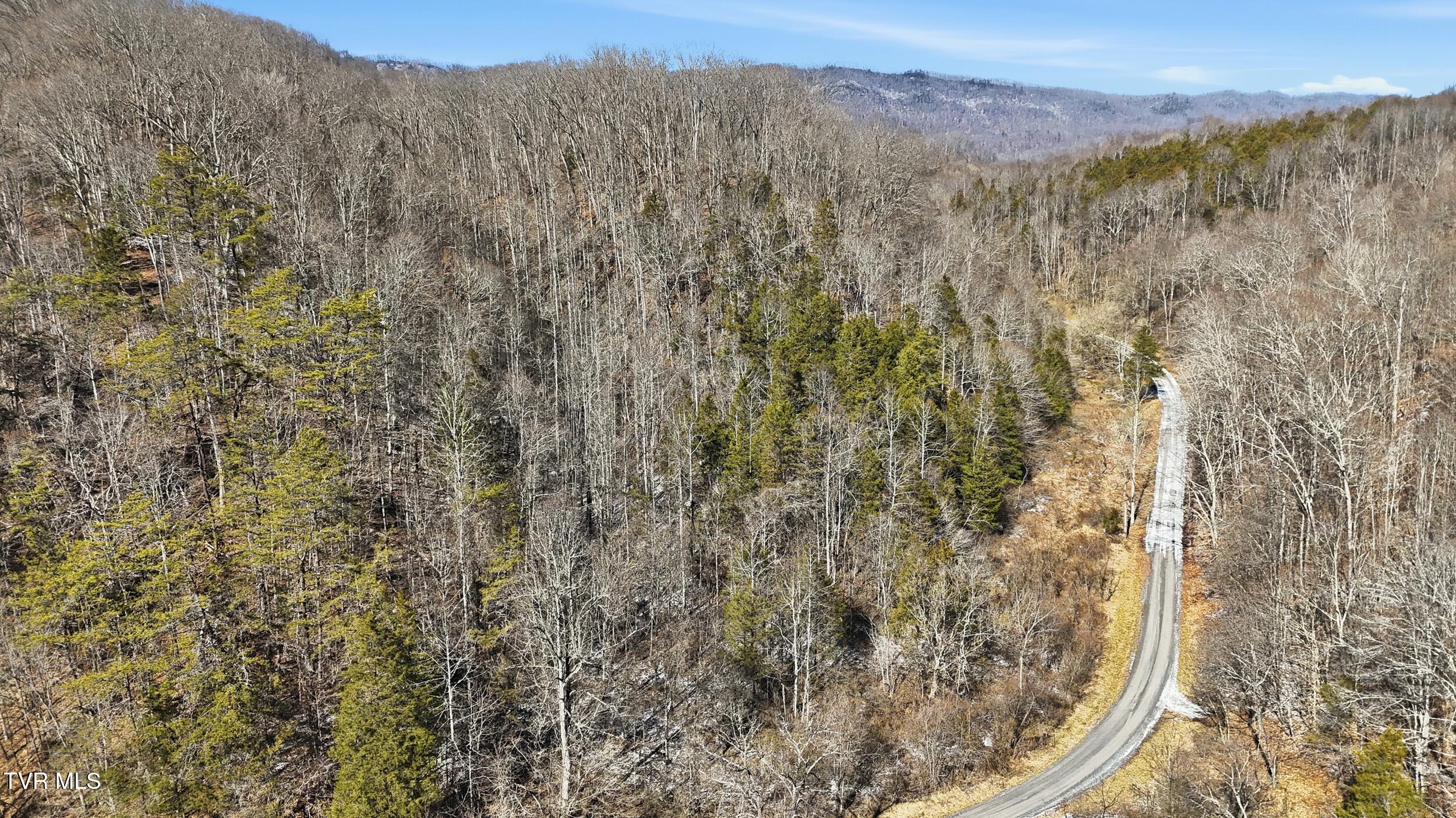 Tbd Hen Reasor Road Big Stone Gap, VA 24219 - Photo 8 of 16 10_dji_20260207130336_0870_d