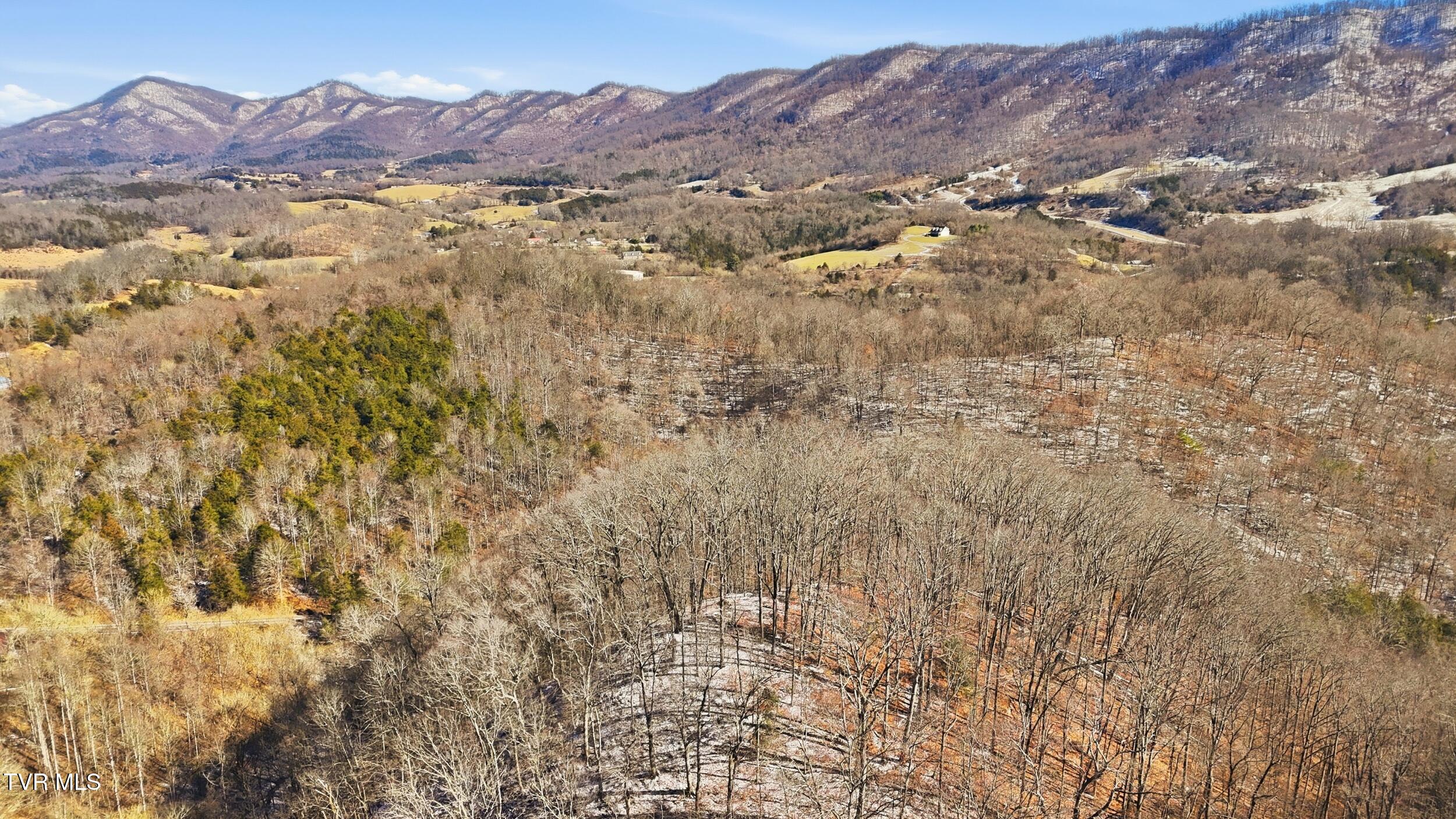 Tbd Hen Reasor Road Big Stone Gap, VA 24219 - Photo 9 of 16 11_dji_20260207130432_0871_d
