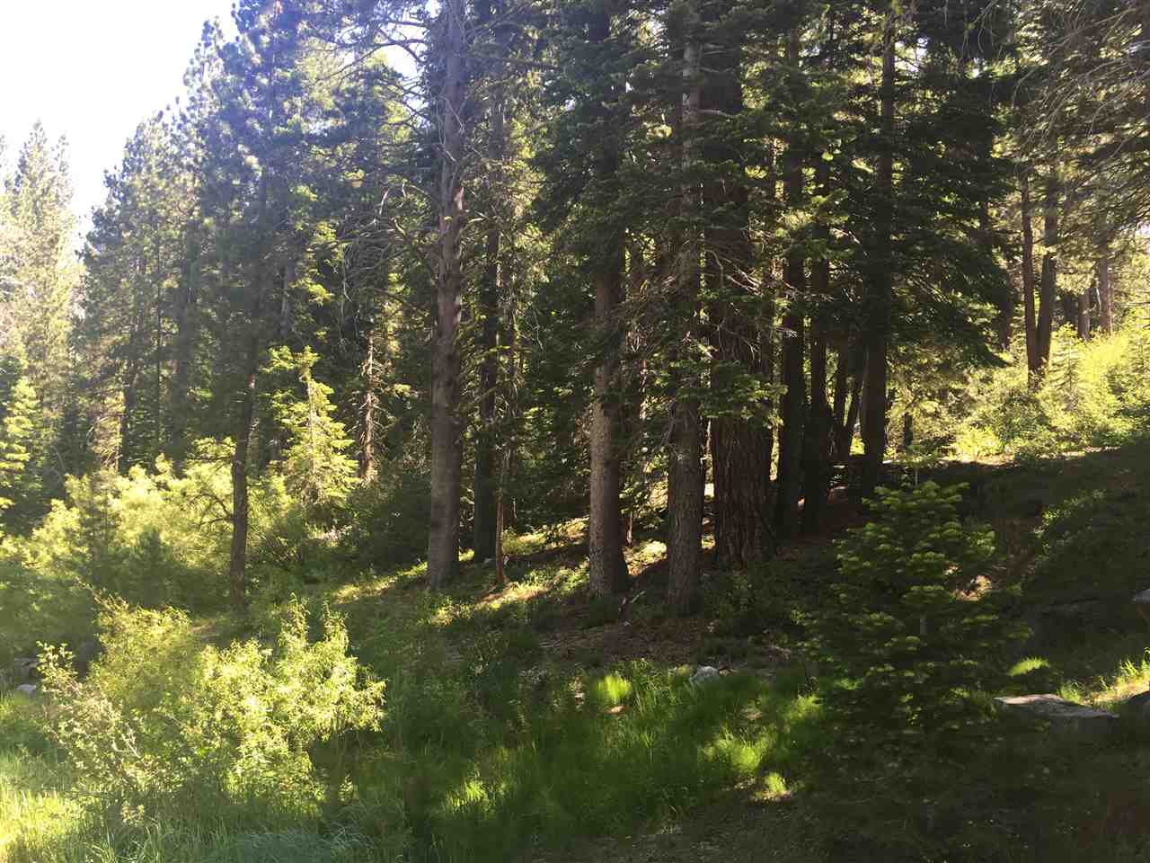 6900 River Road Truckee, CA 96161 - Photo 5 of 17 Gallery Image 5