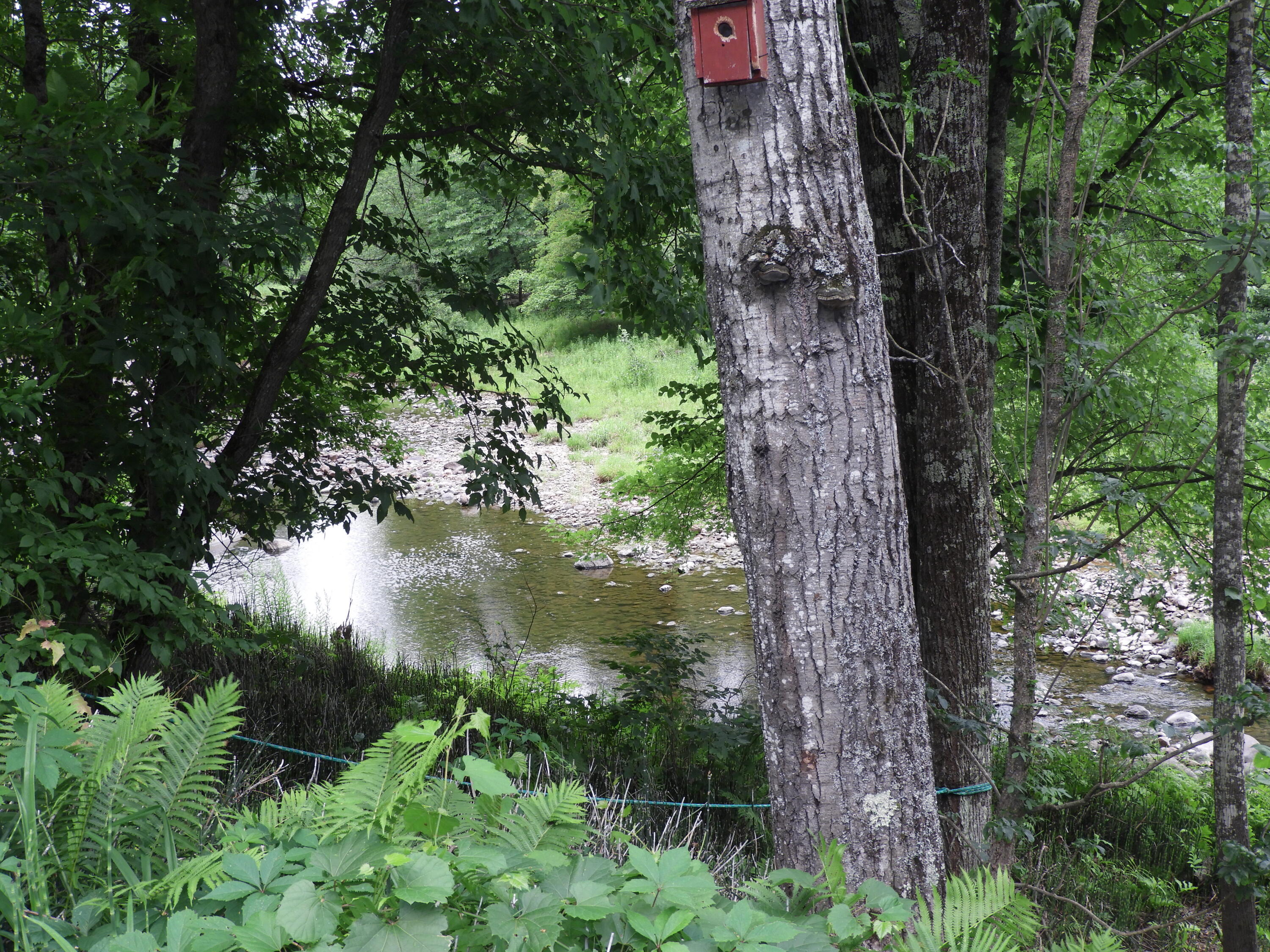 391 Sheldrake Road Au Sable Forks, NY 12912 - Photo 10 of 28