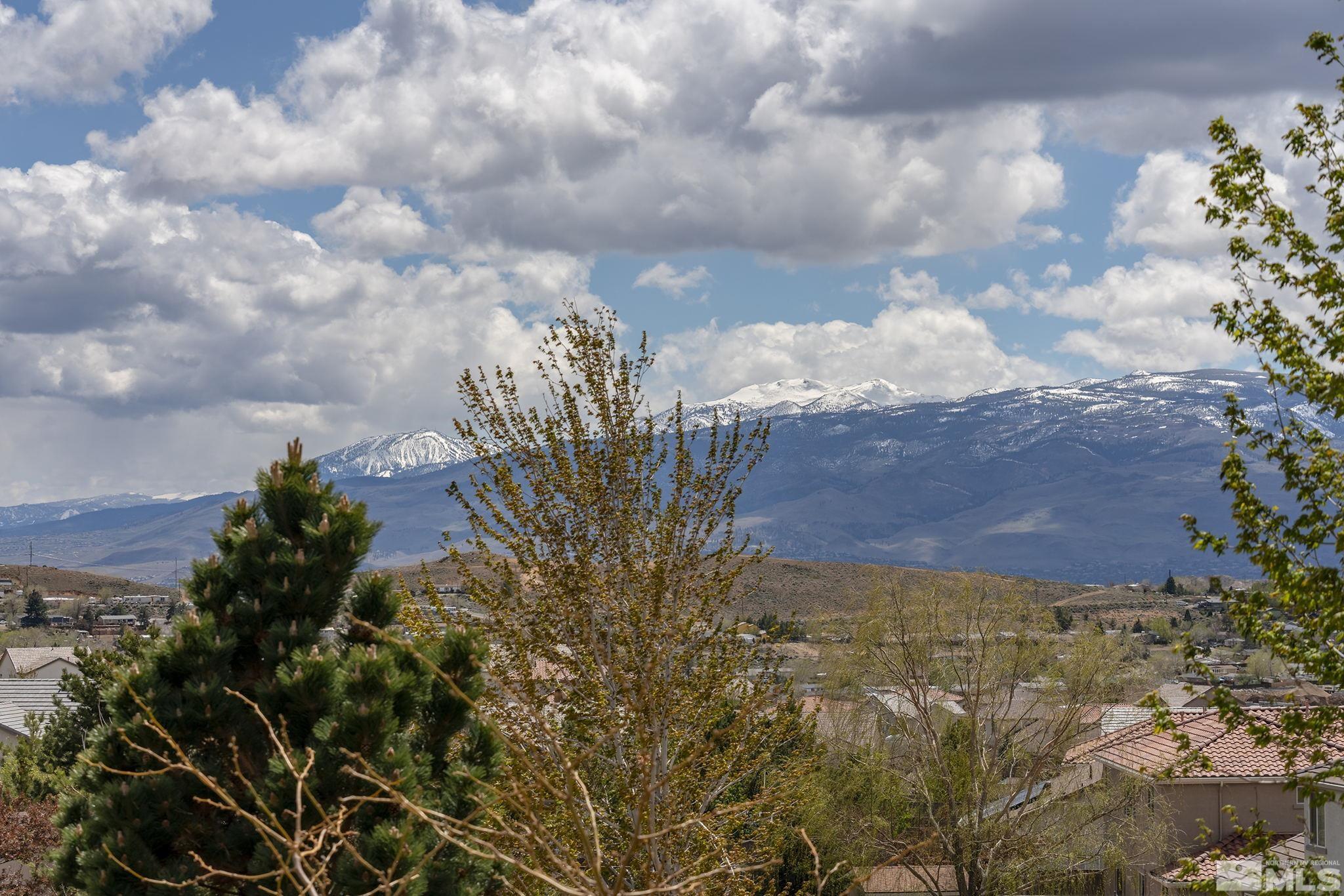 8065 Fire Opal Lane Reno, NV 89506 - Photo 20 of 31 a view of a yard