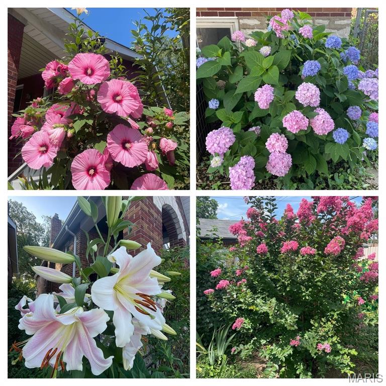 6509 Morgan Ford Road St. Louis, MO 63116 - Photo 25 of 28