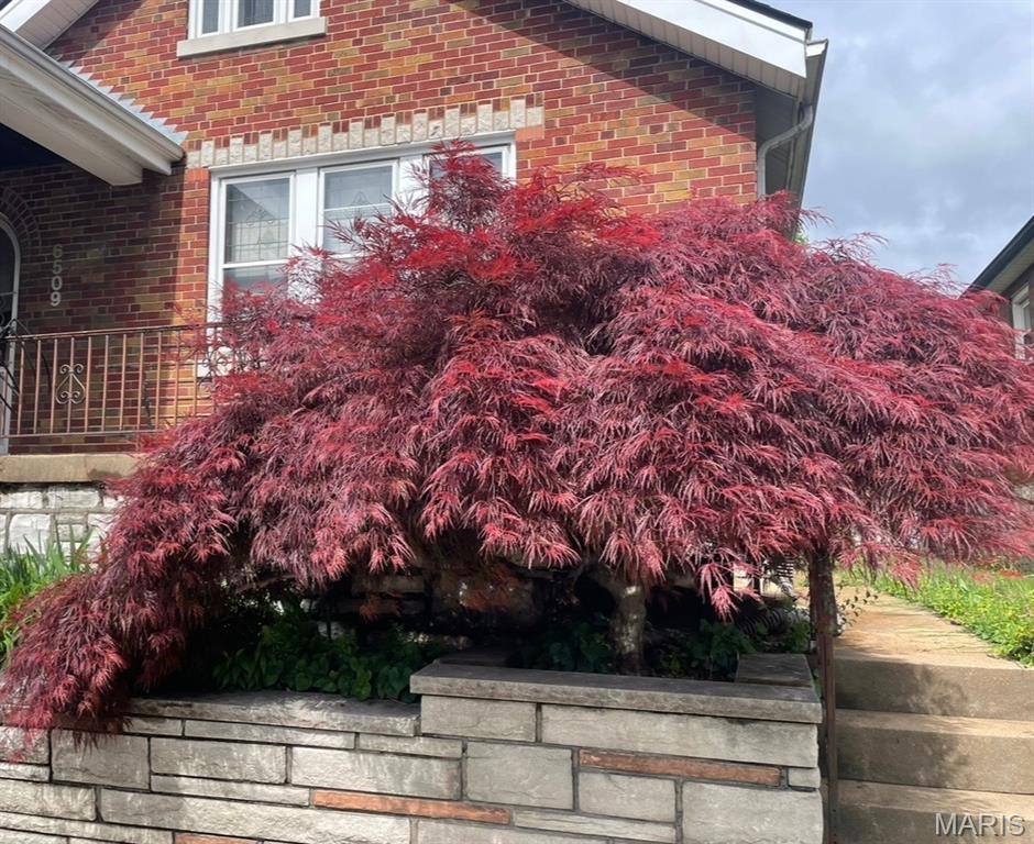 6509 Morgan Ford Road St. Louis, MO 63116 - Photo 27 of 28