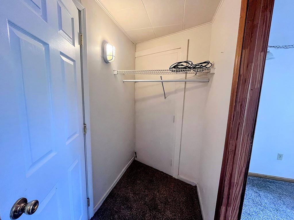 1313 Locust Street Indiana, PA 15701 - Photo 15 of 17 Closet