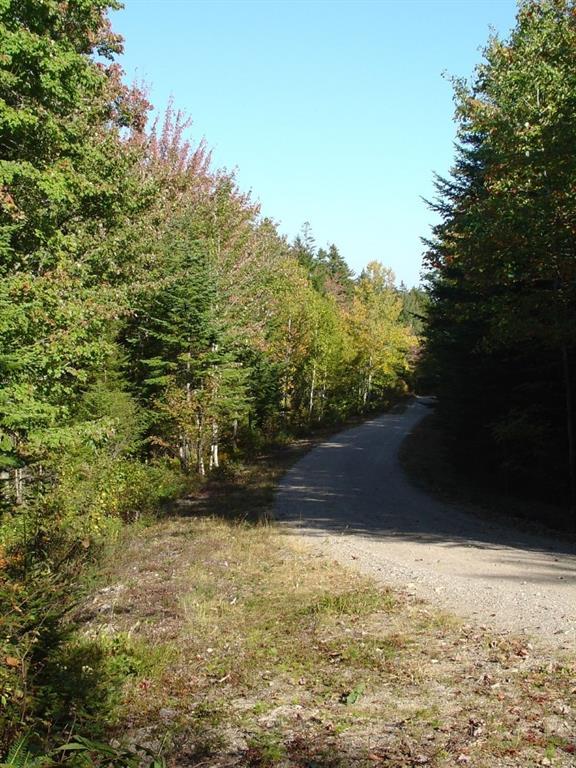 22 Point Road Steuben, ME 04680 - Photo 2 of 4 Point Road heading east in the...