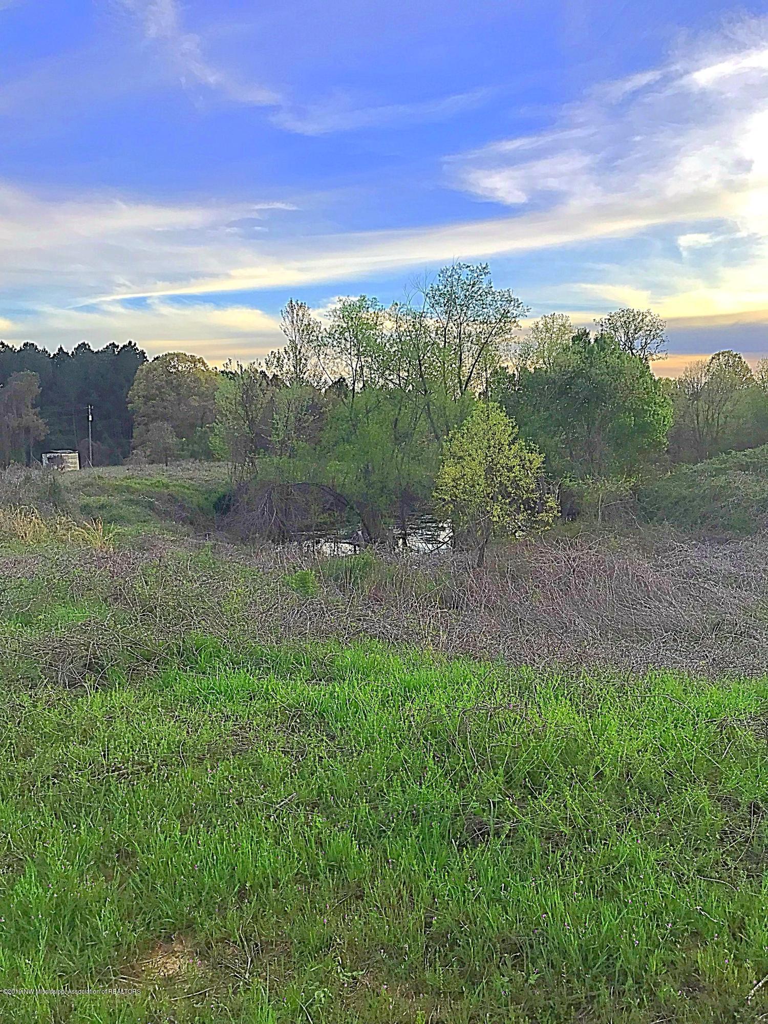 1234 Odell Road Holly Springs, MS 38635 - Photo 32 of 34 44DE6349-ED1B-4CB1-A245-856F6556205A