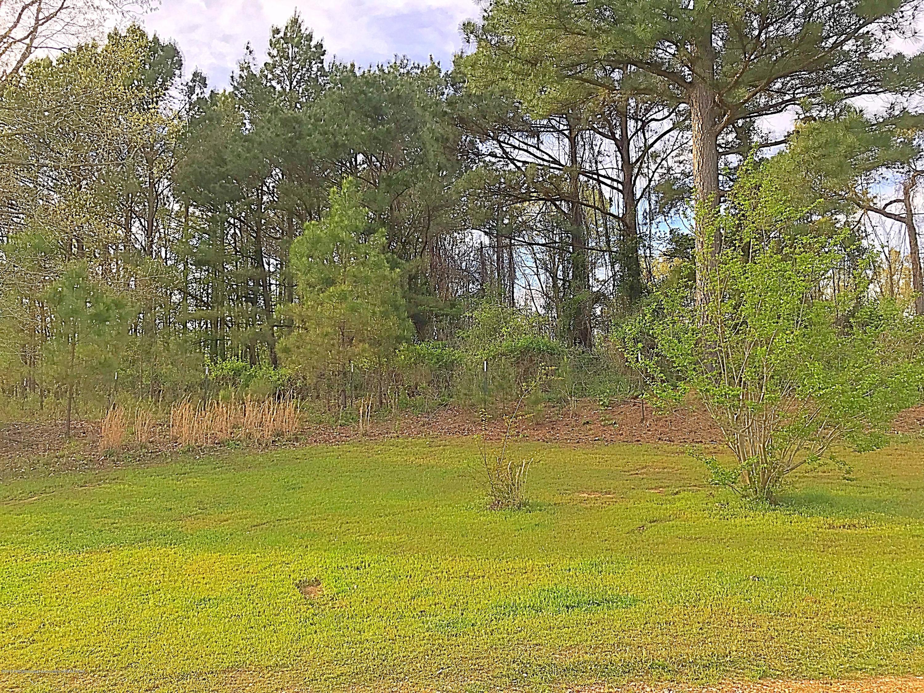 1234 Odell Road Holly Springs, MS 38635 - Photo 34 of 34 503AD4C5-7344-4905-BF7F-46C9DD0CD9C8