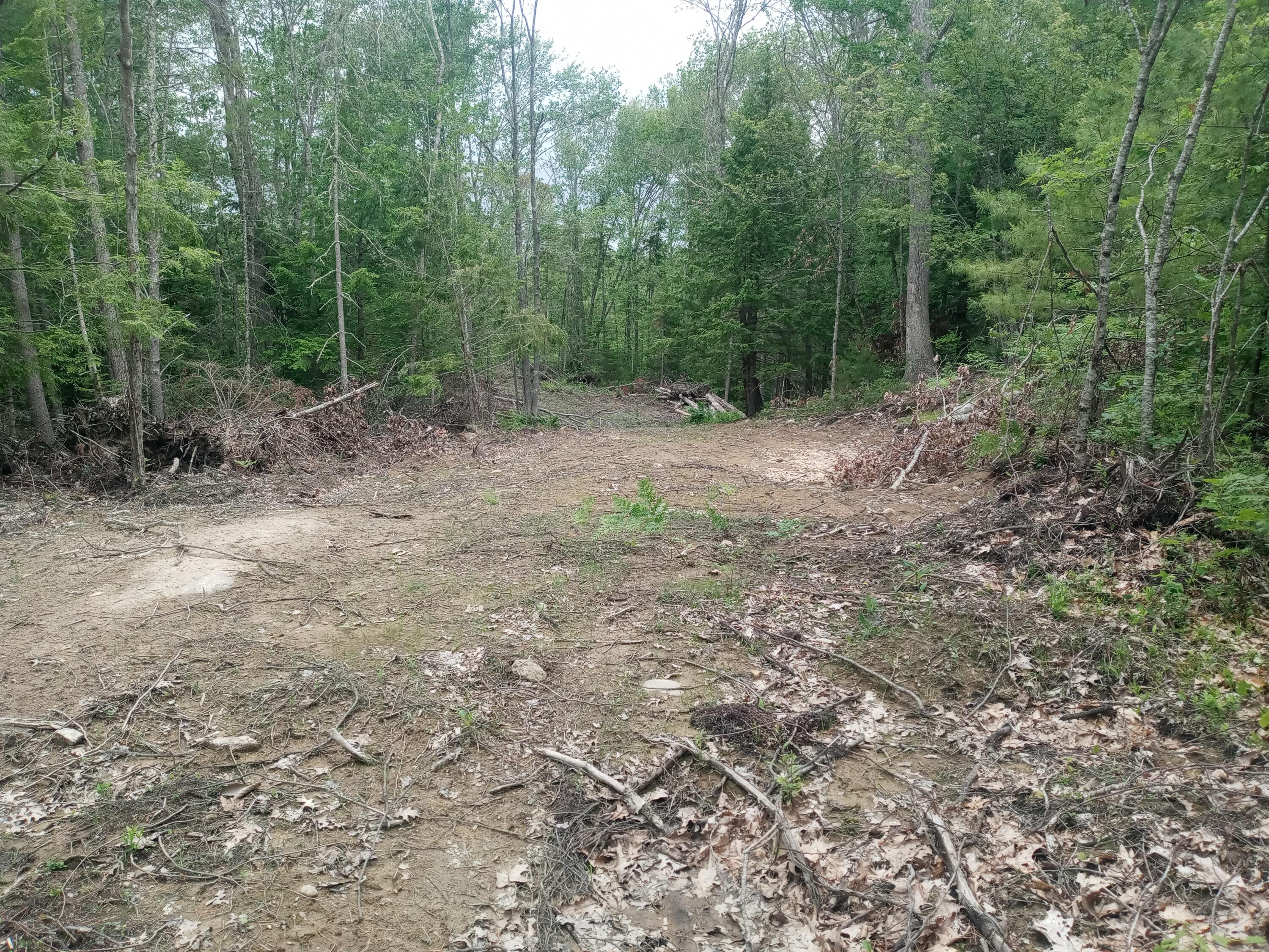 848 Old Stage Road Woolwich, ME 04579 - Photo 13 of 14 20260620_114239