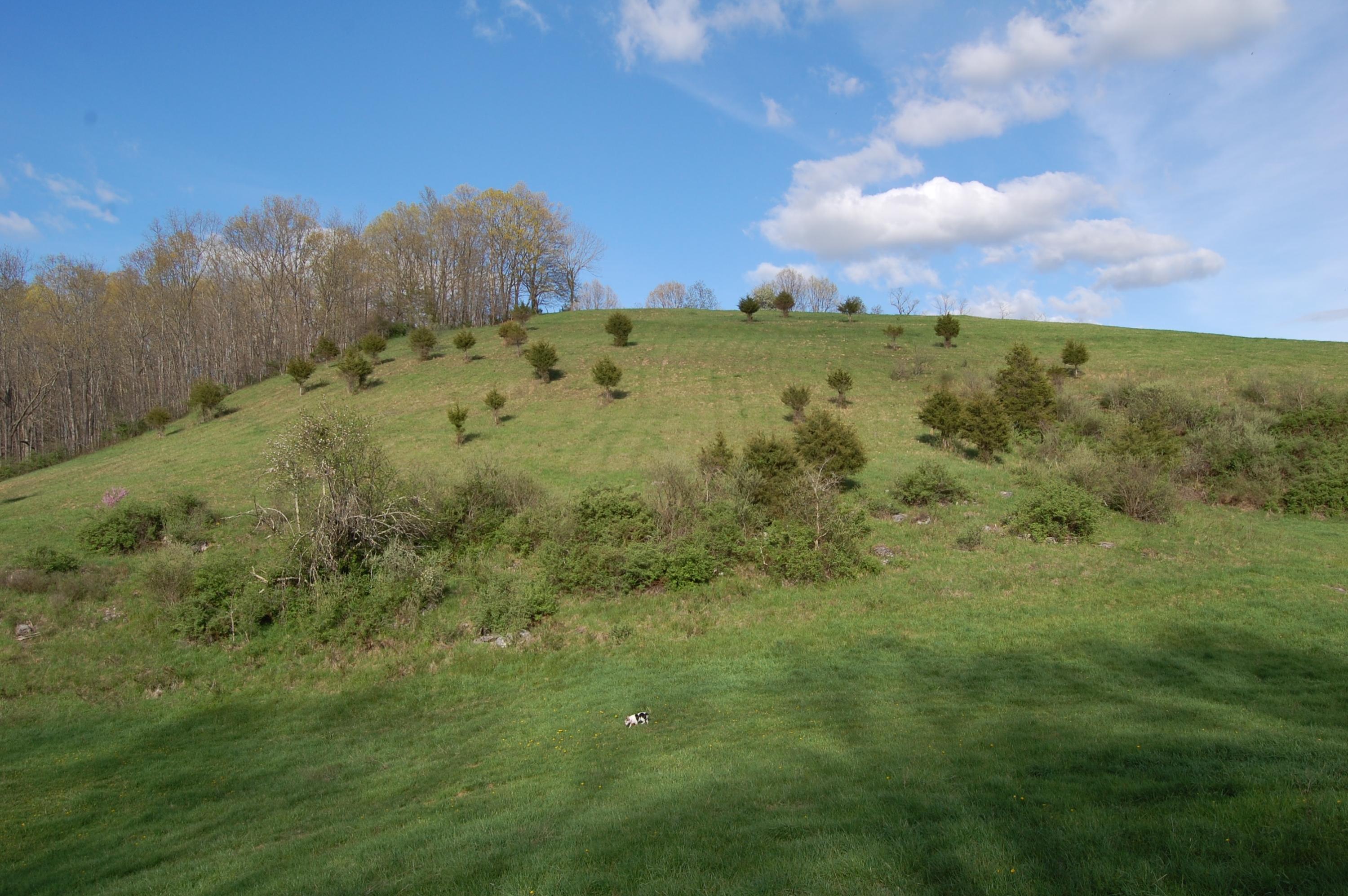 3846 Carroll Hill Road Lewisburg, WV 24901 - Photo 24 of 51 DSC_5345