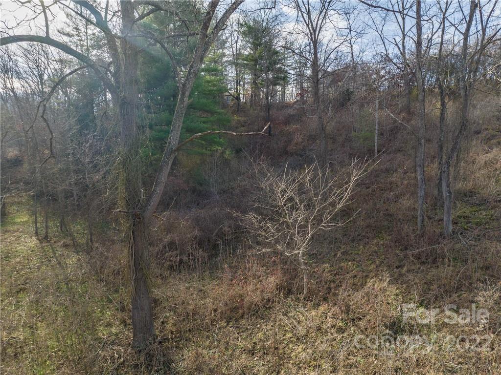 0 Midway Crossing Drive, Unit 15 Clyde, NC 28721 - Photo 12 of 17