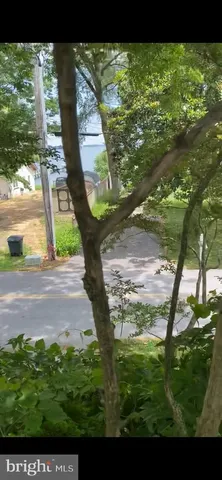 a view of backyard with plants and wooden fence