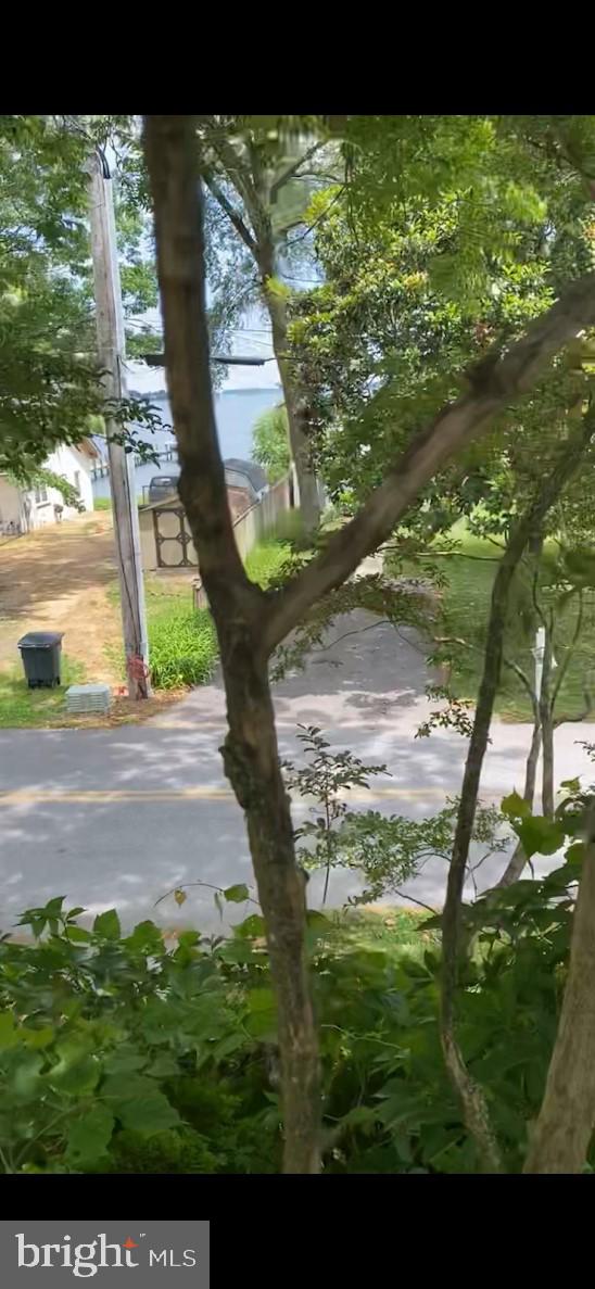 24250 North Patuxent Beach Road California, MD 20619 - Photo 3 of 7 a view of backyard with plants and wooden fence