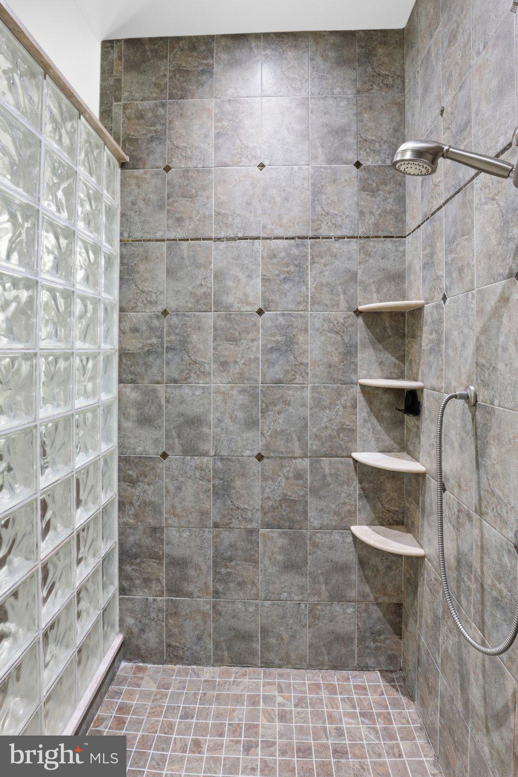 16932 Fitzgeralds Road Lincoln, DE 19960 - Photo 44 of 103 Sleek modern shower with elegant tiles.