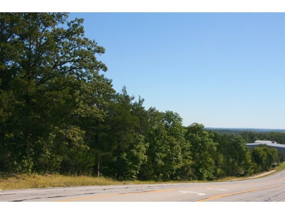 734 Buchanan Road Branson, MO 65616 - Photo 1 of 1 Primary Photo