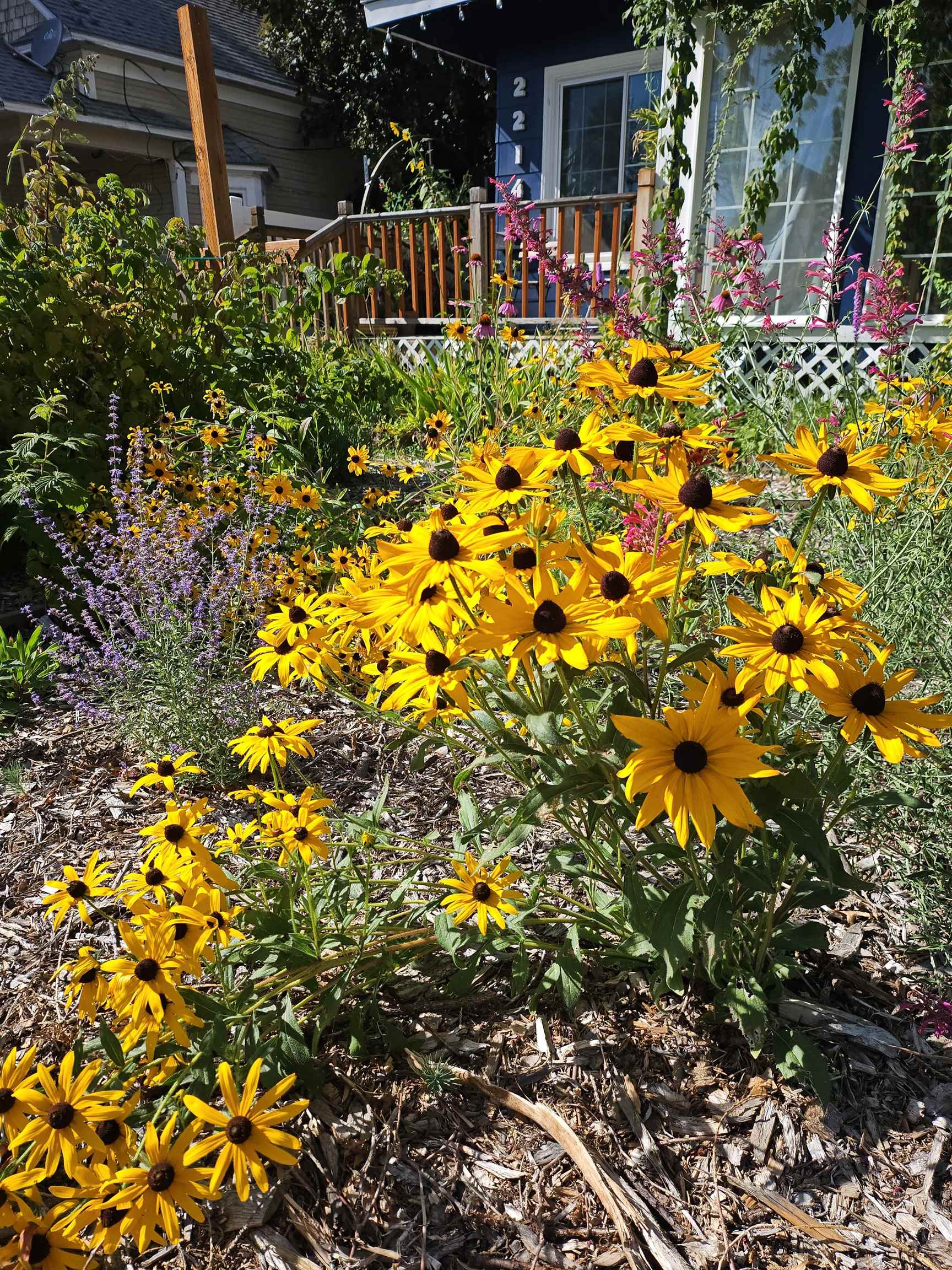 2214 West Maxwell Avenue Spokane, WA 99201 - Photo 4 of 48