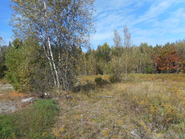 Map5-lot30h White Road Enfield, ME 04493 - Photo 5 of 5 DSCN7340
