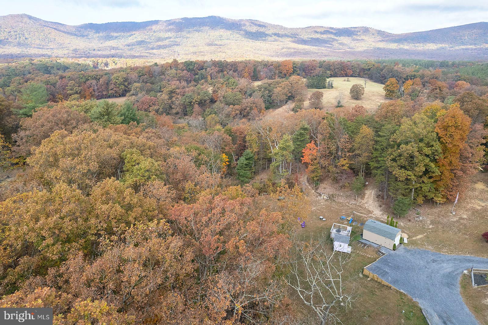 47 Willow Road Front Royal, VA 22630 - Photo 9 of 50 Mountains and more mountains!!