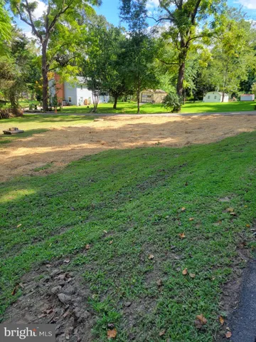 a view of field with trees
