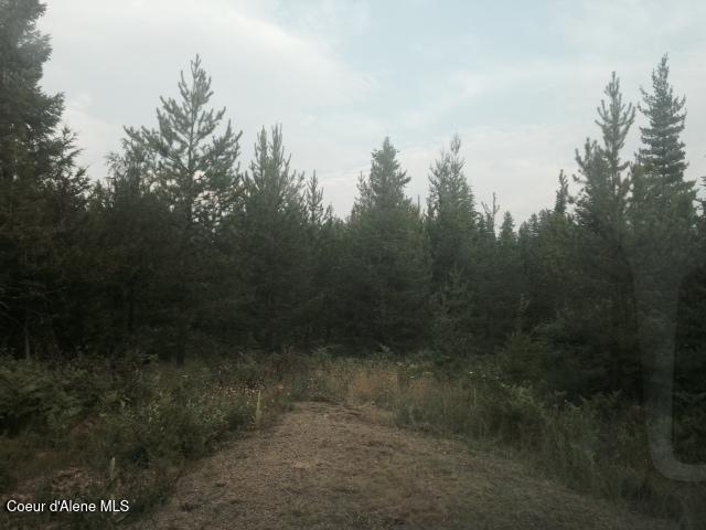 7135 Eastriver Road Priest River, ID 83856 - Photo 2 of 6 7135 Eastriver ...