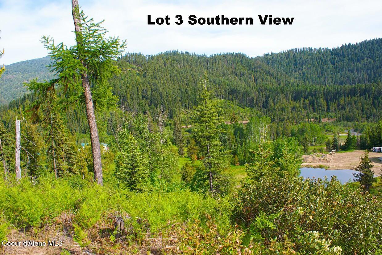 7135 Eastriver Road Priest River, ID 83856 - Photo 4 of 6 7135 South View 2...