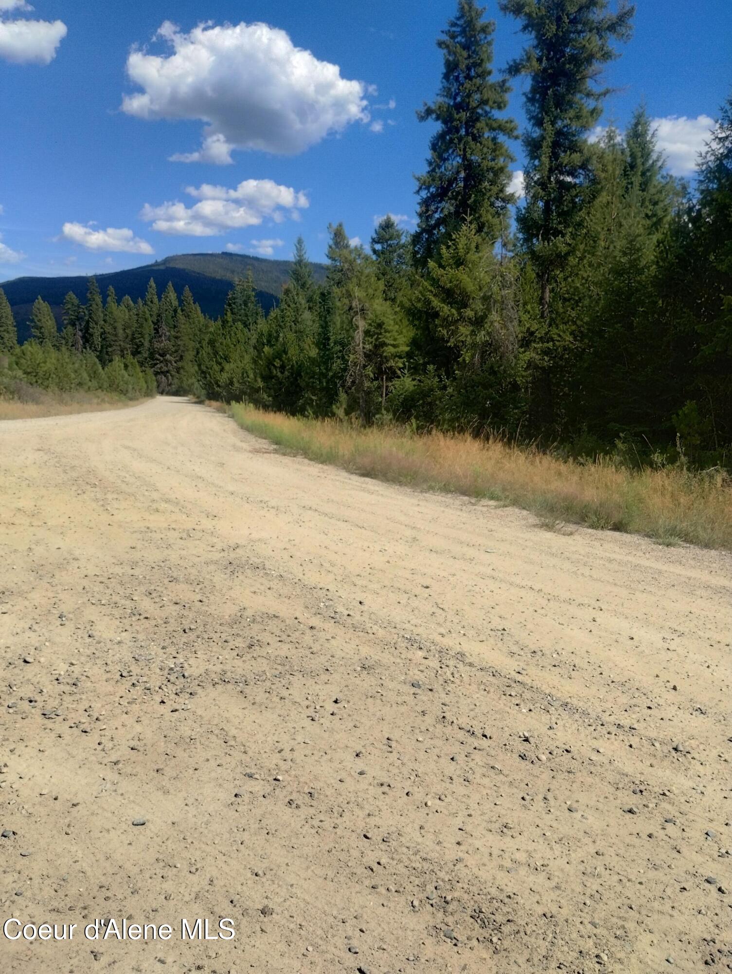 7135 Eastriver Road Priest River, ID 83856 - Photo 5 of 6 7135 ON ROAD