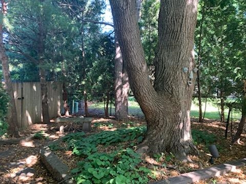 1308 Shirley Street Middleton, WI 53562 - Photo 26 of 55