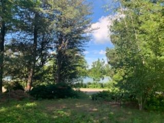 1308 Shirley Street Middleton, WI 53562 - Photo 27 of 55