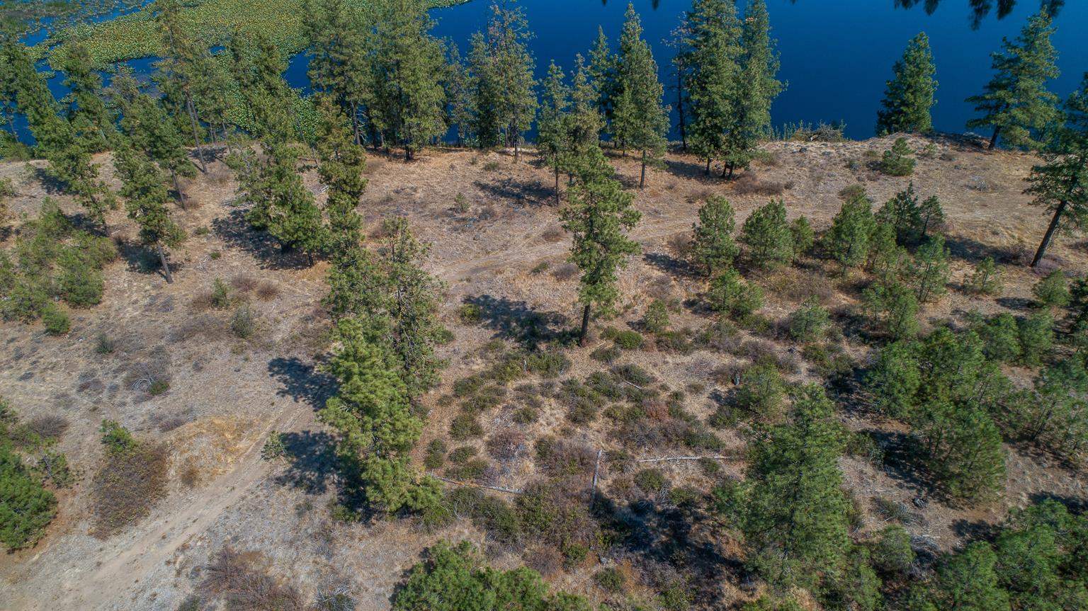 249100 West Kitt Road Reardan, WA 99029 - Photo 22 of 50