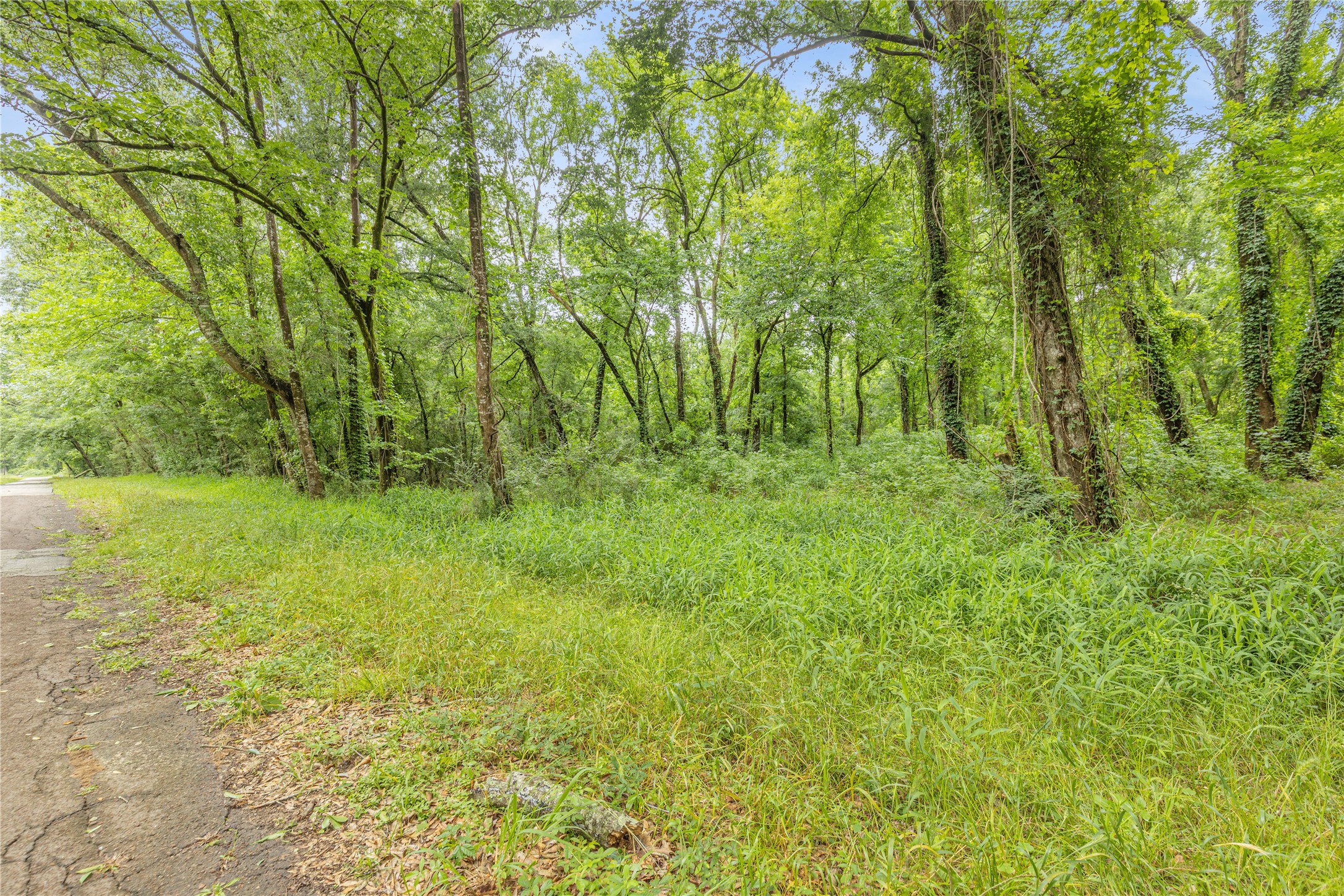 12572 Royal Creek Road Conroe, TX 77303 - Photo 4 of 6