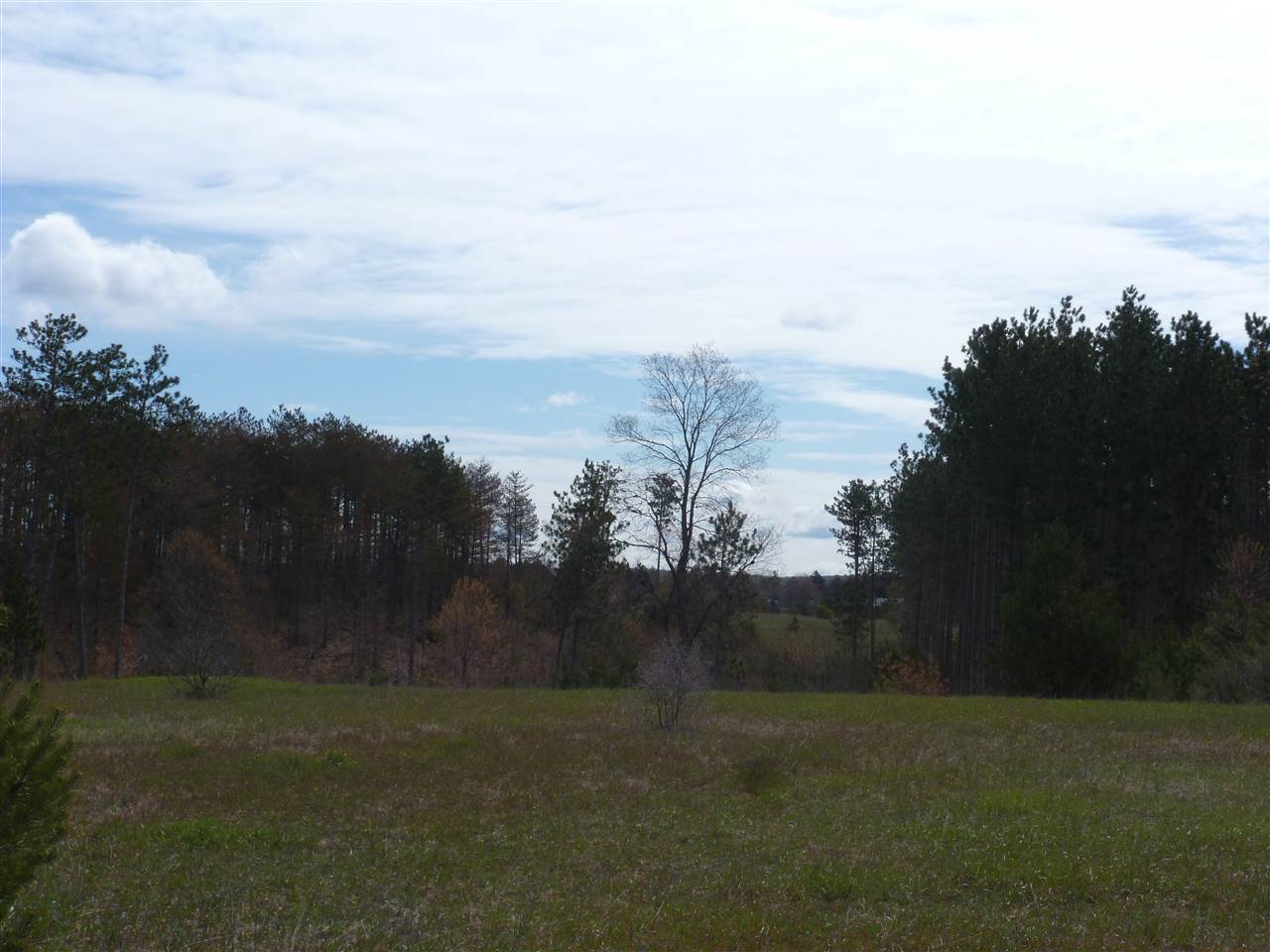 10517 Johnson Road Mancelona, MI 49659 - Photo 9 of 34 1861368-8.JPG