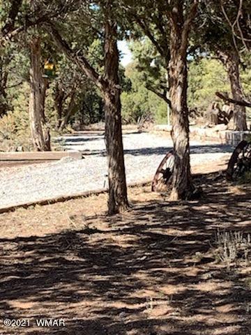 2165 Graphite Road Clay Springs, AZ 85923 - Photo 24 of 29 Gallery Image 24