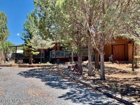 2165 Graphite Road Clay Springs, AZ 85923 - Photo 4 of 29 Gallery Image 4