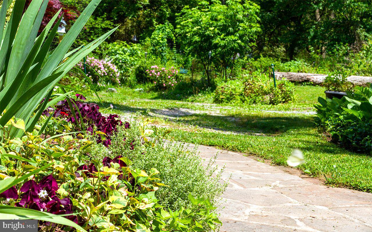 5137 Wetheredsville Road Baltimore, MD 21207 - Photo 22 of 89 a view of a garden with a flower garden