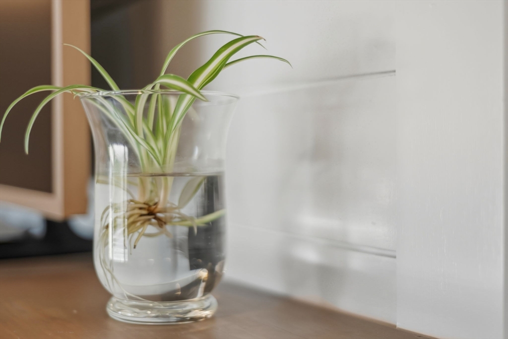 3 Nantucket Avenue Swampscott, MA 01907 - Photo 6 of 41