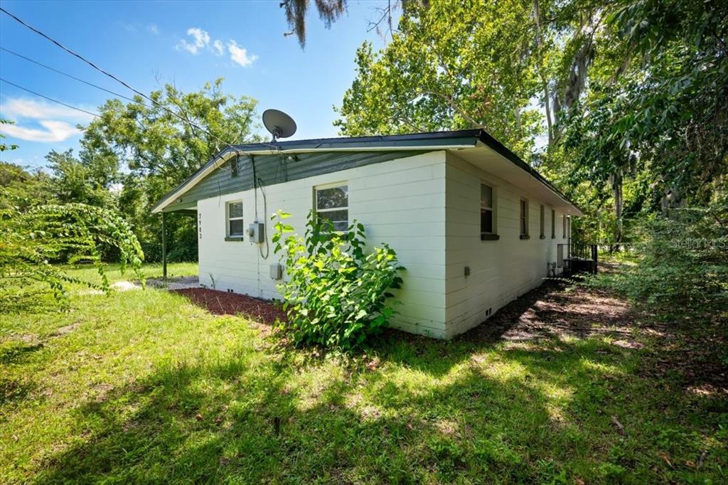 7903 New Kings Road Jacksonville, FL 32219 - Photo 27 of 28 a view of a back yard with plants and large tree