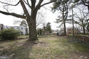 917 Weatherbee Road Baltimore, MD 21286 - Photo 23 of 24 Fenced-in Backyard