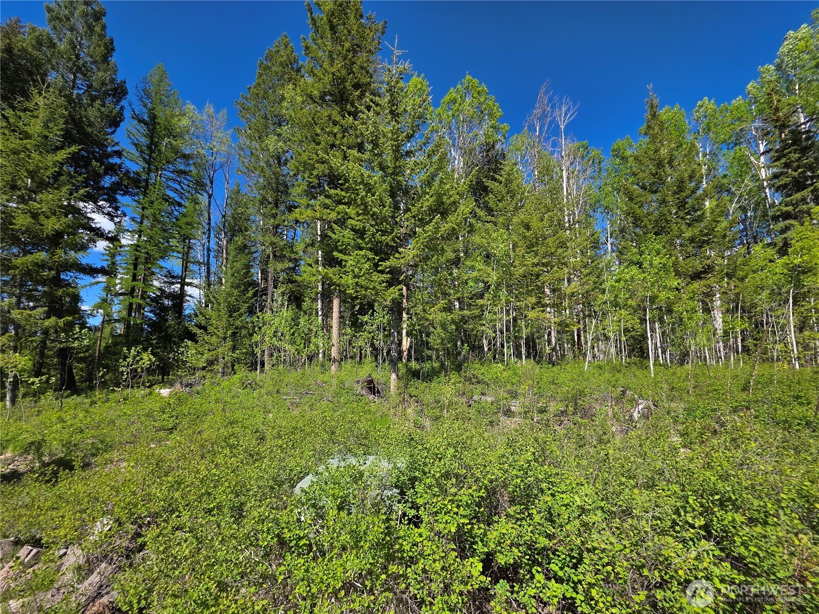 393 Summer Road Tonasket, WA 98855 - Photo 21 of 37 a view of a garden
