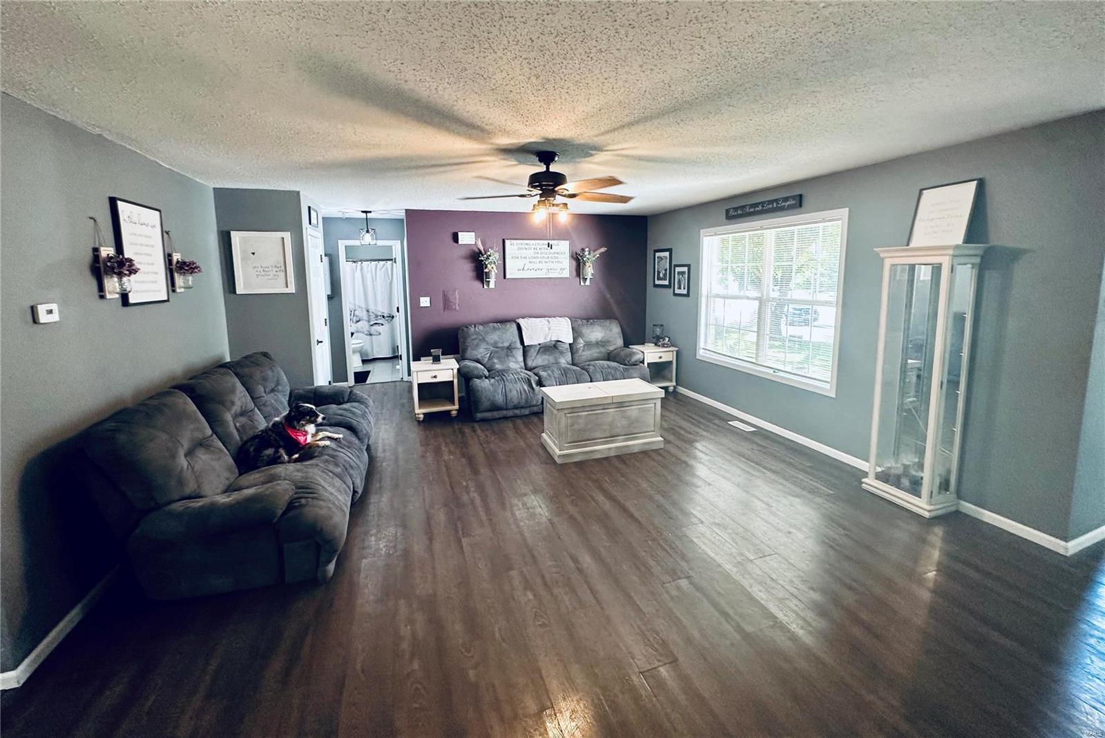 316 Nellies Ridge Valmeyer, IL 62295 - Photo 4 of 16