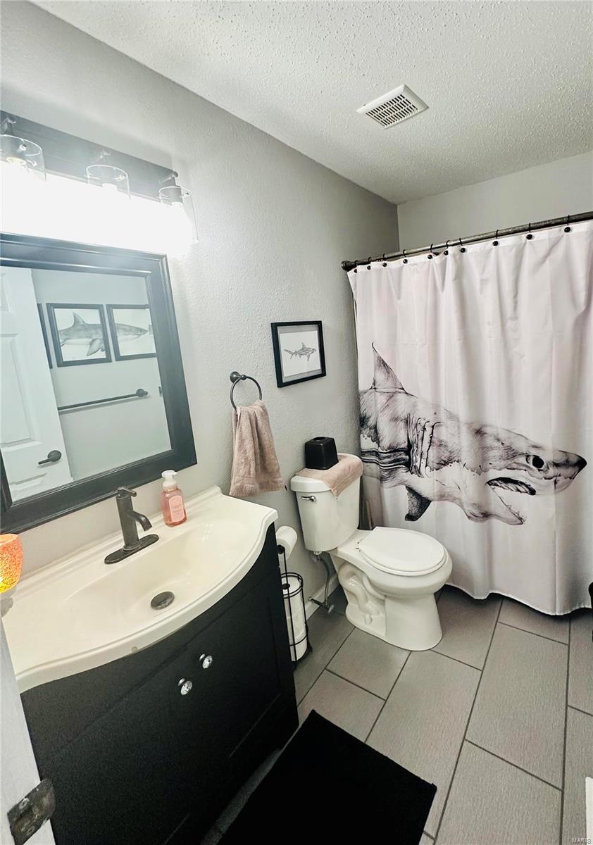 316 Nellies Ridge Valmeyer, IL 62295 - Photo 9 of 16