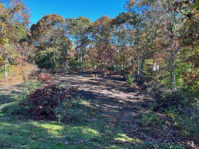 46 Chippingstone Road Marstons Mills, MA 02648 - Photo 21 of 24 689092861(1)