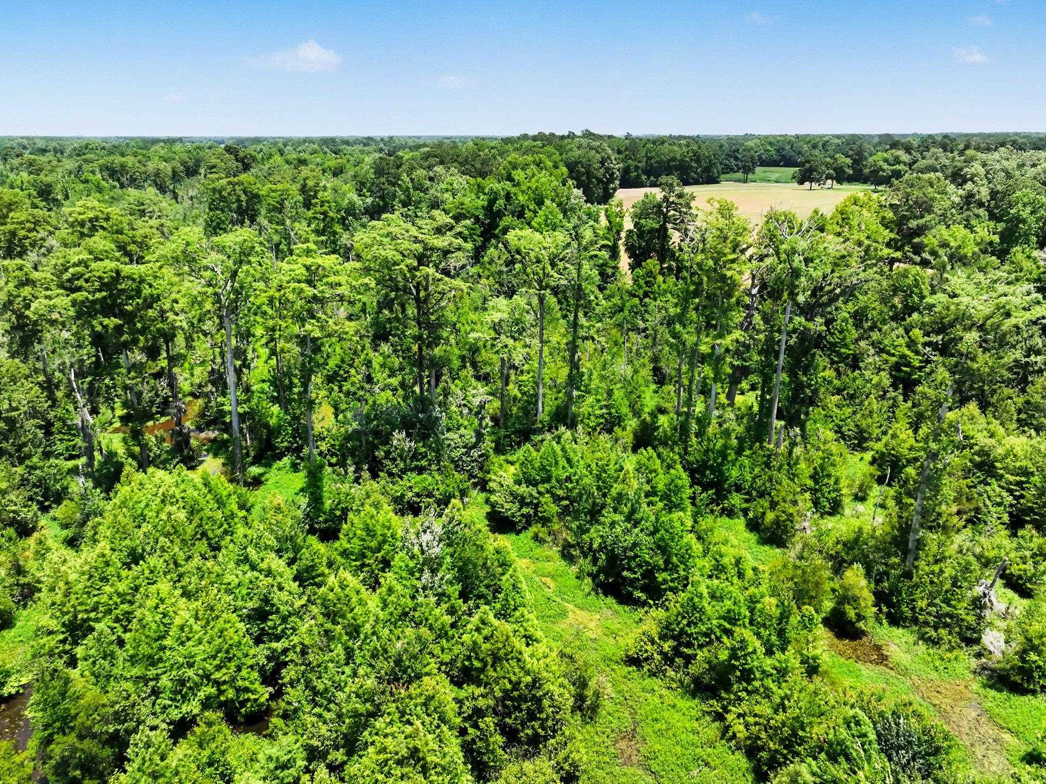 Tbd Tbd Mitchell Sea Rd Green Green Sea, SC 29545 - Photo 20 of 28