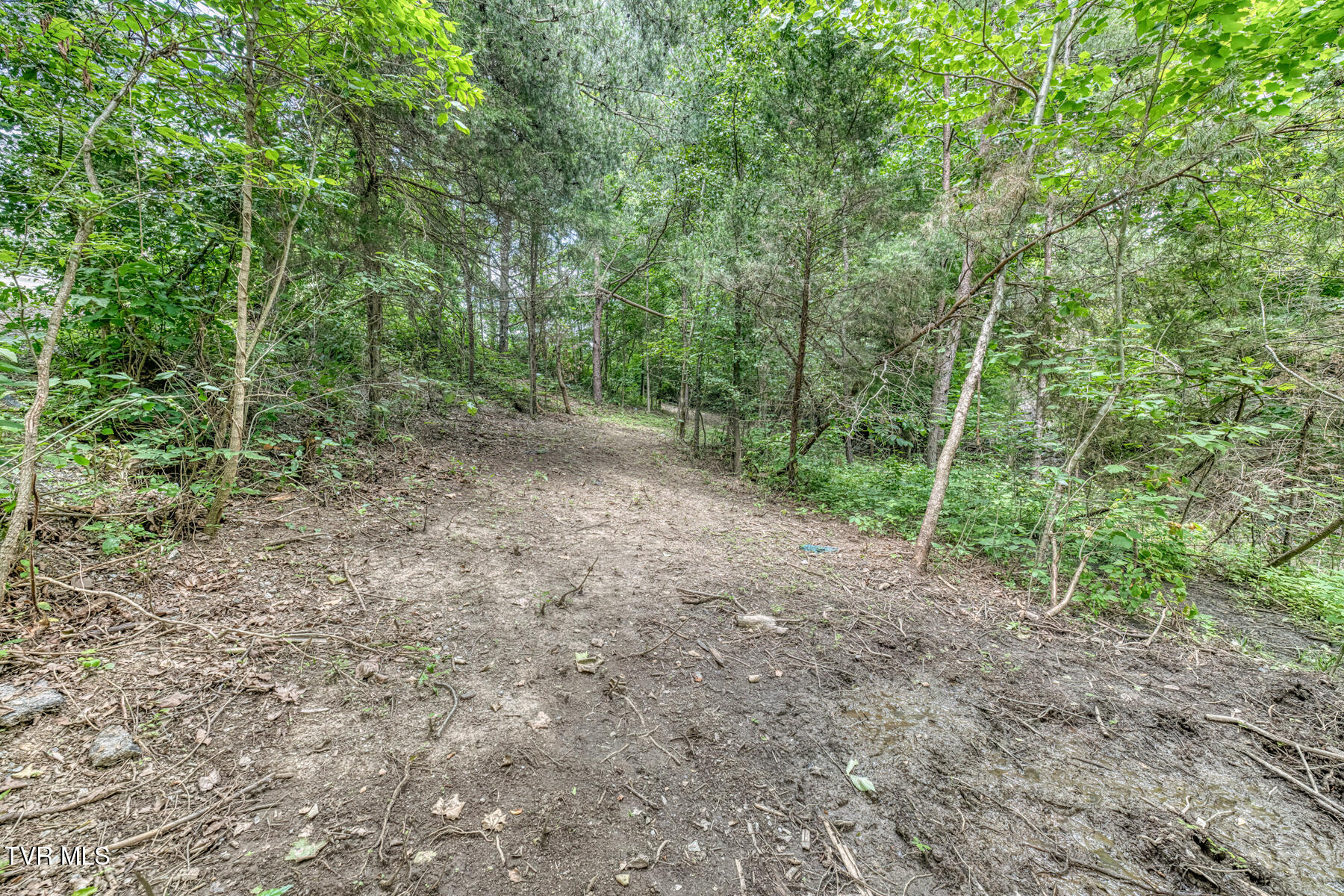 2244 Idle Hour Road Kingsport, TN 37660 - Photo 56 of 58 2244 Idle Hour Rd-60