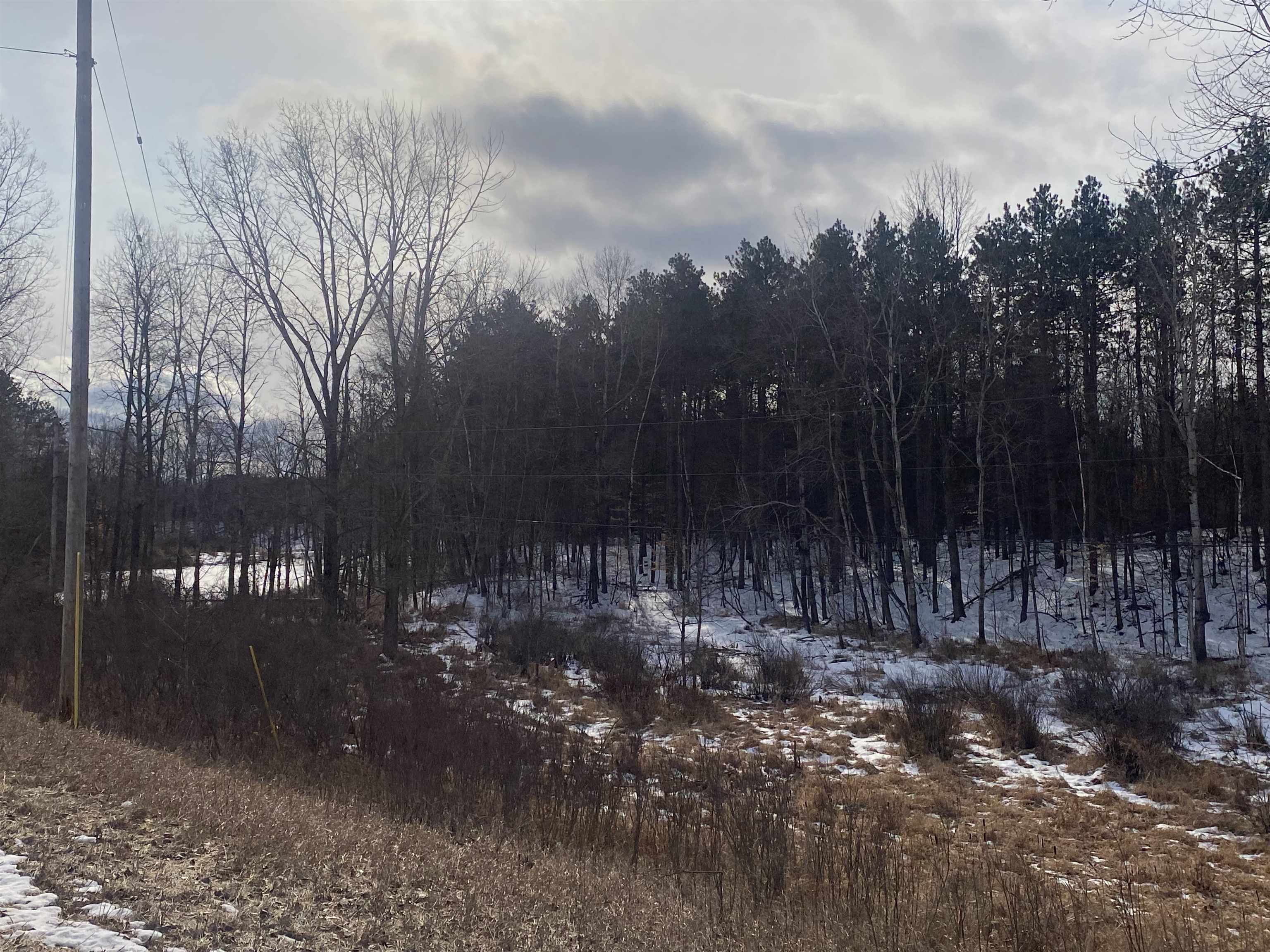 Tbd West Tbd W Remus Road Remus, MI 49340 - Photo 7 of 11 1897555-6.JPG