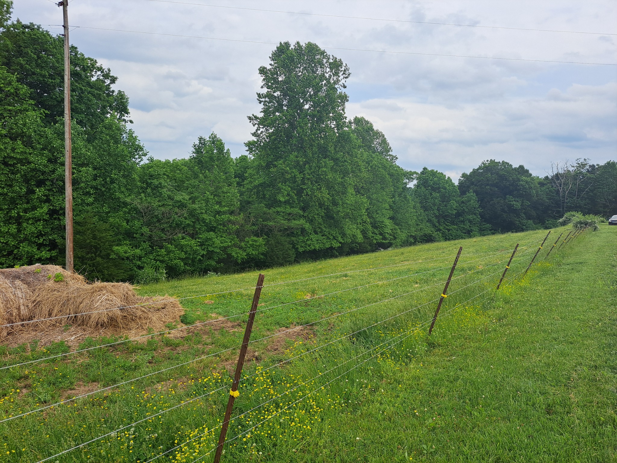 2237 Cold Springs Road Lafayette, TN 37083 - Photo 6 of 14 Gallery Image 6