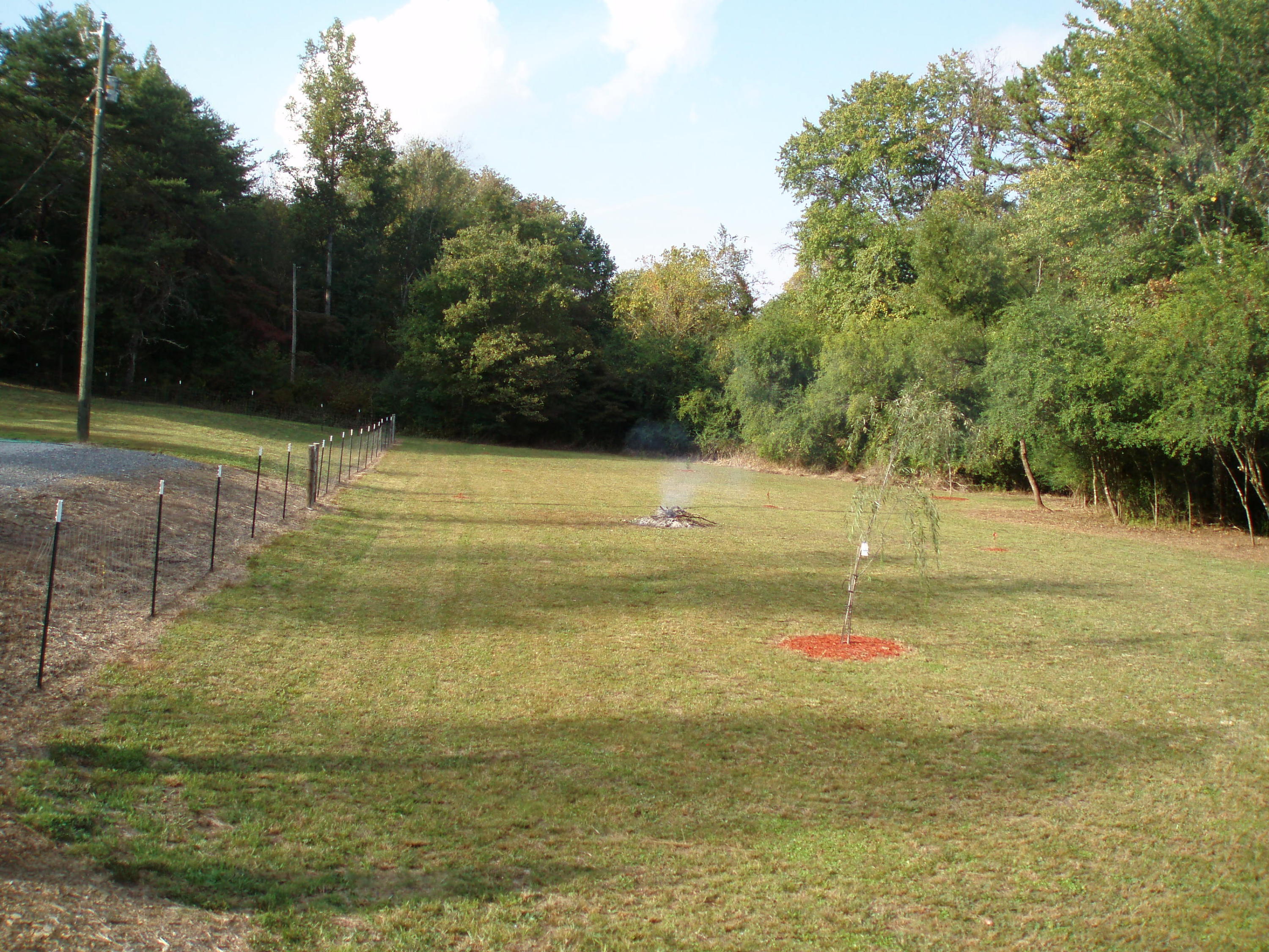 1950 Reliance Road Tellico Plains, TN 37385 - Photo 3 of 28 Pasture