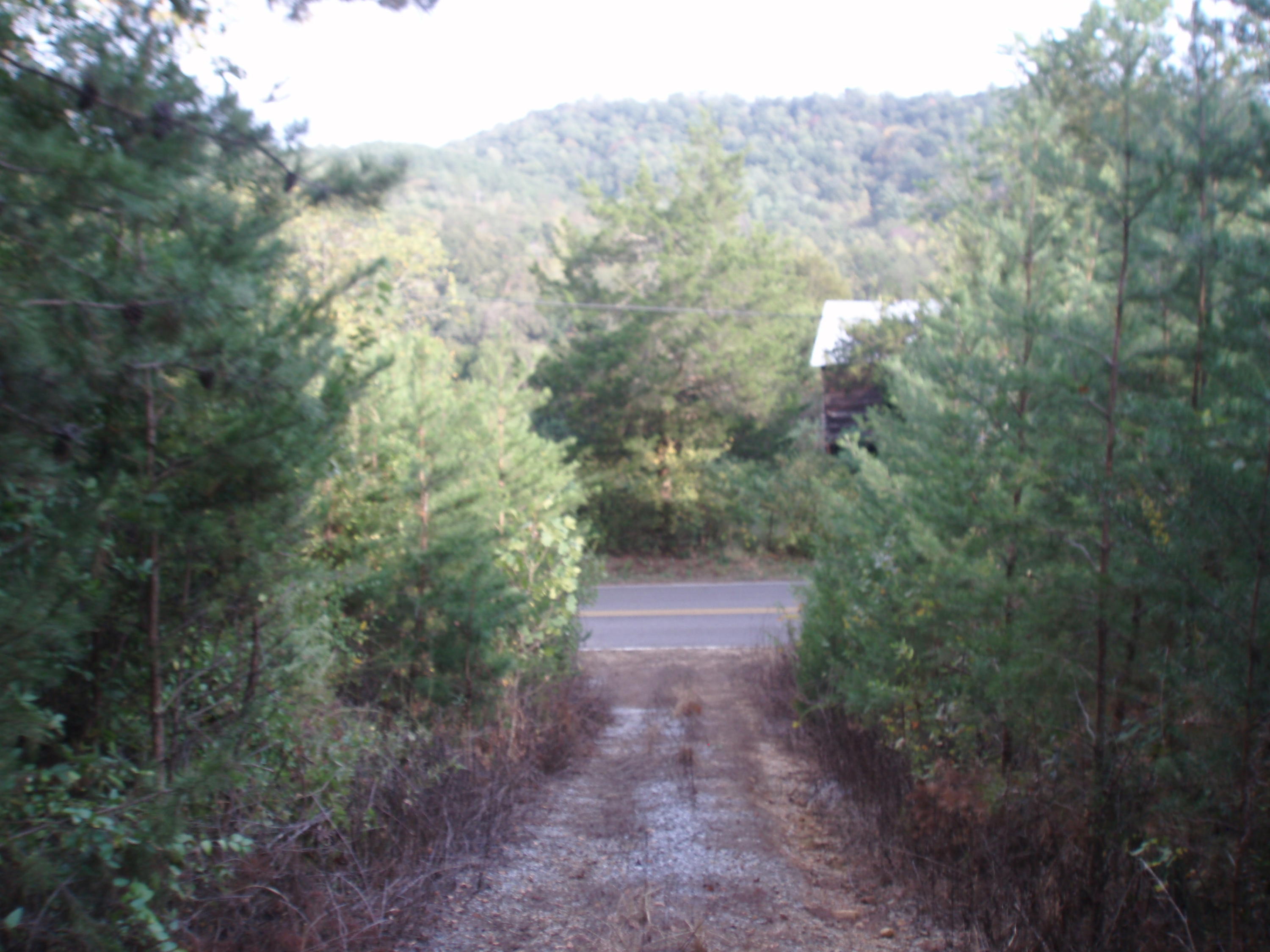 1950 Reliance Road Tellico Plains, TN 37385 - Photo 5 of 28 Shared Road