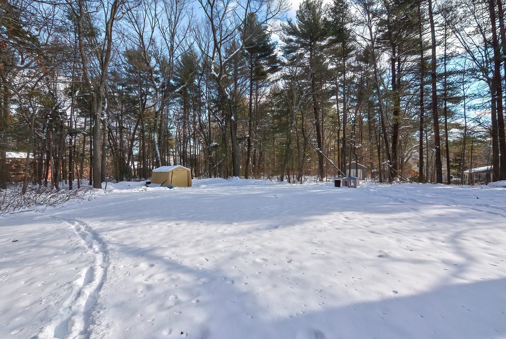 11 Robin Road Norfolk, MA 02056 - Photo 39 of 42 Gallery Image 39