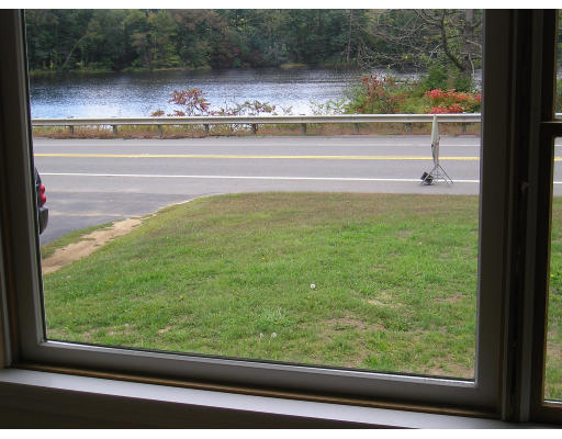 a view of swimming pool from a window