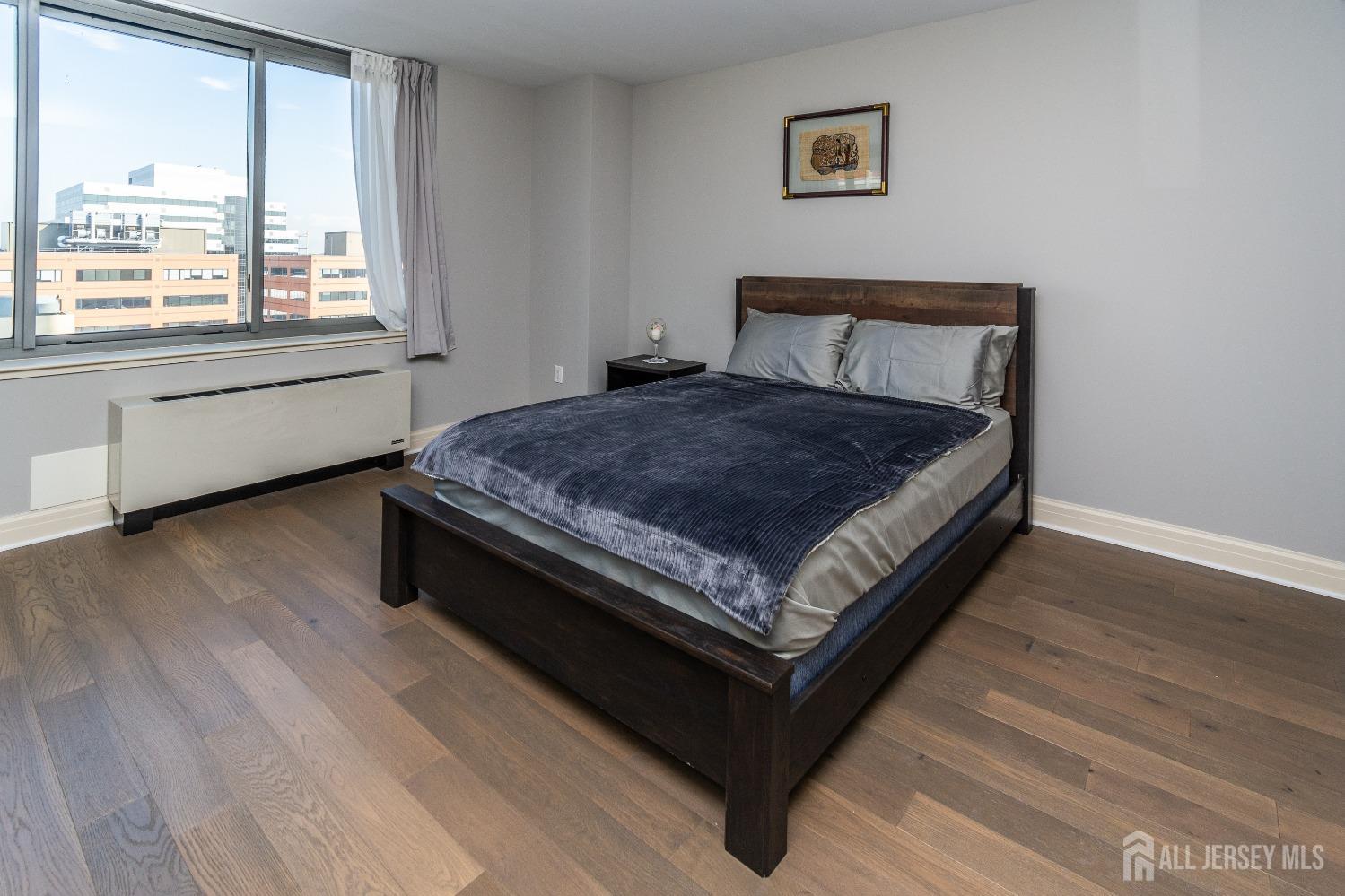 1 Spring Street, Unit 805 New Brunswick, NJ 08901 - Photo 17 of 38 Gallery Image 17